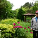 산드림
