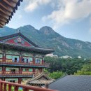 2026 청춘 템플스테이 신청방법 총정리 | 3만원으로 1박2일 가능(+학림사·용문사 후기)