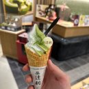 다이브코리아