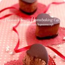 쇼콜라 카카오 검색결과