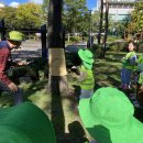 성음유치원 이미지