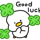 미소인공인중개사사무소 이미지