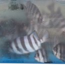 영생상가아파트1차 이미지