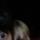 포레스트31 이미지