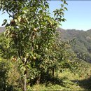 원산농장 이미지