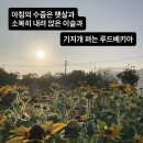 동락원 - 안성시 죽주로 231 | 동락원
