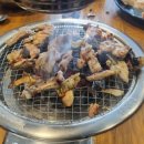 38선 넘은 짱닭 이미지