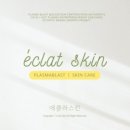 에클라 스킨 네이버블로그