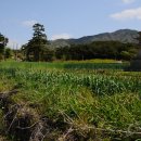 마동 탑마을 이미지