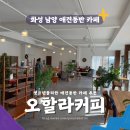 화성 남양 펫프렌들리 애견동반 카페 오할라커피