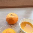 건천휴게 오일스테이션 | 일본 마쓰야마 REF 베셀호텔 추천 (대욕장 조식 후기) 마츠야마 신상 호텔