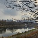 중앙도서관 페달로 옆 이미지