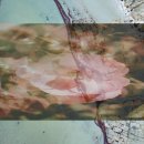 섬꽃향기 민박 이미지