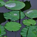 함주공원 이미지