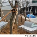 주식회사 도광