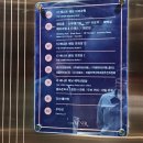 더브라이덜수 이미지