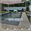 벌곡 멍발리 네이버블로그