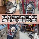 펫도그 애견스쿨 | 무료 펫 선물부터 펫유모차까지, 왓도그캣 매월 이벤트 직접 참여해봤어요