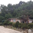 호수위의 하루 이미지