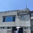 동남횟집 | 울산 주전 물회 맛집, 아기랑 다녀온 동남횟집 솔직후기