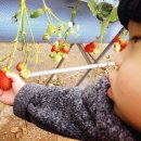 수혁농장 이미지