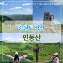 (거북이쉼터 출발) 초보자도 가능한 민둥산 등산 후기 | 코스/주차/포토존 꿀팁 포스팅
