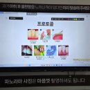 불당본점서울비디치과의원 | 스케일링 만족한 과잉진료없는 천안 불당 서울비디치과