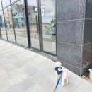 사니정원 이미지