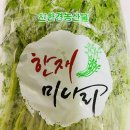 한재태권도 이미지