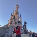 데이파크약국 이미지