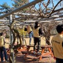 [고려방송] aT광주전남본부, 고려인마을 새날학교 환경정화활동 실시 이미지