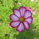 구리한강시민공원 이미지