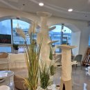 701아를고양이카페(cat in the art) 이미지