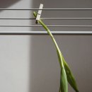 헬스사랑 이미지