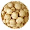 감자요리 종류와 감자효능 이미지