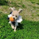 육일군 수라간 이미지