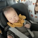 뷰티플리조트 | 4개월 아기랑 부여 여행(+라앵쀼)/롯데리조트부여