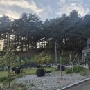 라뷰티 헤어 - 송파구 | 라뷰티 헤어