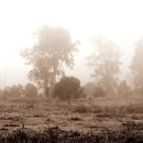 해변연가 이미지