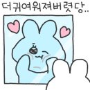 네일캄 이미지