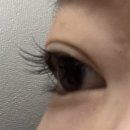 올데이래쉬 | [다산 속눈썹펌] 다산 속눈썹 올데이래쉬 방문 후기👀😻