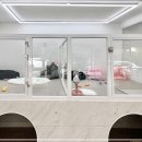 숭구리댕댕 이미지