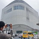 갤러리아 이미지