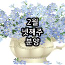 남구-043 이미지