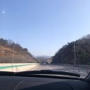 폴라베어 애견펜션 이미지