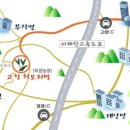 길농장 | 고창 보리나라 학원농장 메밀꽃, 도깨비 감성 그대로 가을에 물들다