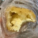 데일리팡 이미지