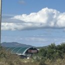 돼지수산 | [경기/김포] 대하 가성비 ‘강화돼지수산’ 후기🦐(내돈내산💸)