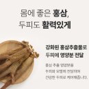 진생 이미지