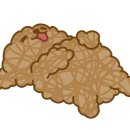 초이스덴탈 이미지